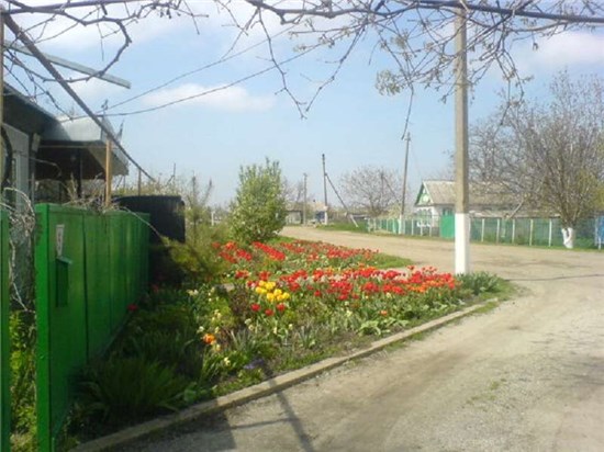 Ольгинская