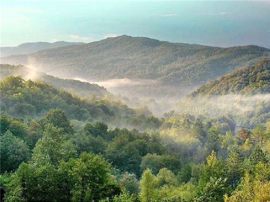 Саратовская