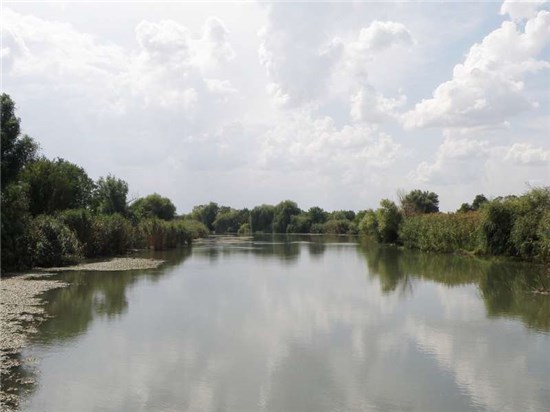 Старонижестеблиевская